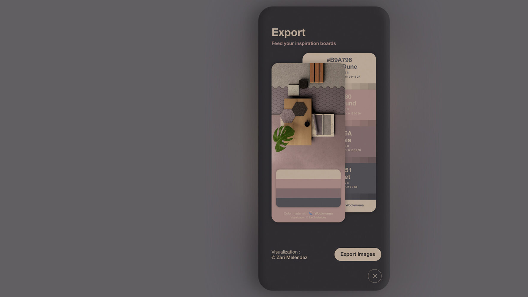 Wookmama Color Visualizer