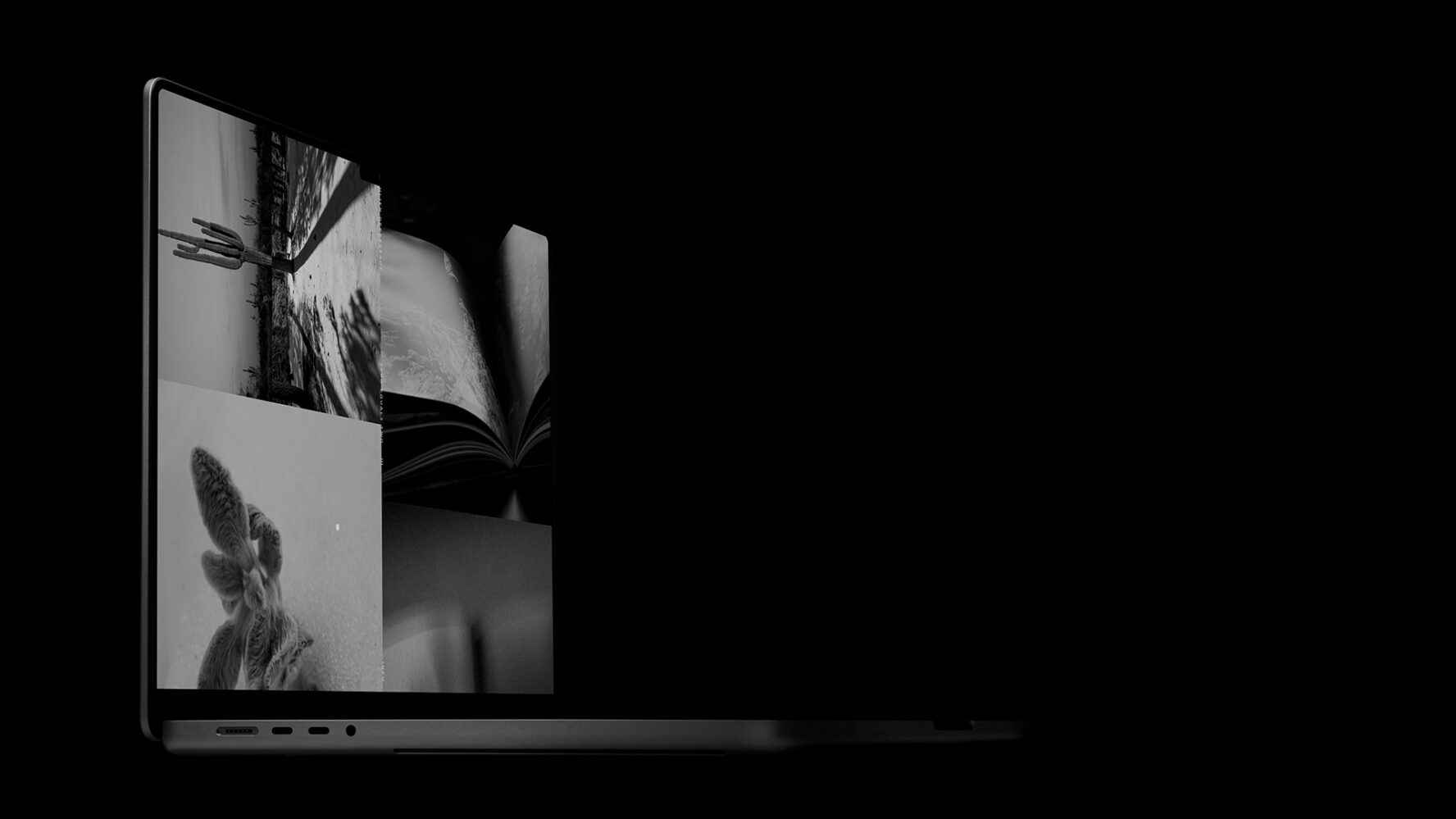 Derreveaux Photography