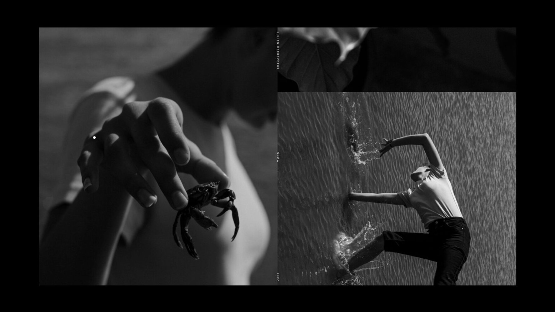 Derreveaux Photography