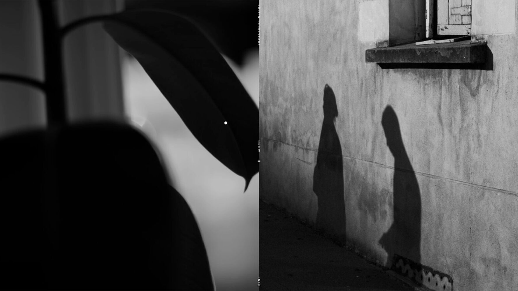 Derreveaux Photography