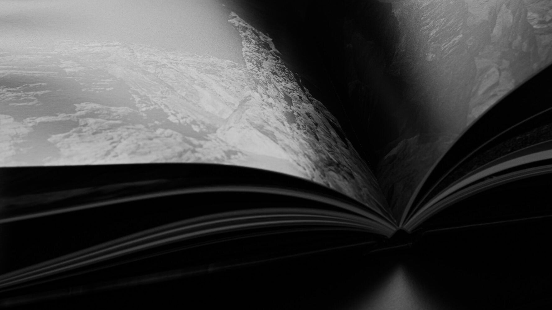 Derreveaux Photography